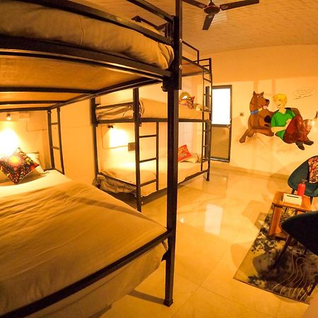 Hotel Funky Backpackers à Udaipur Extérieur photo